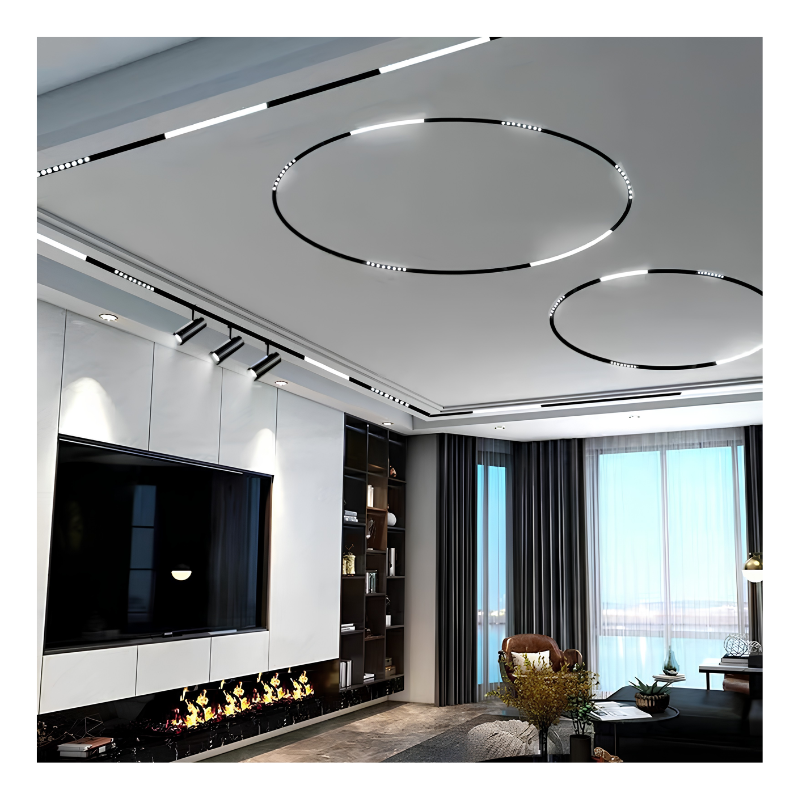 Orbit Linear Track Light System